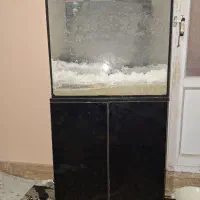اکواریوم
