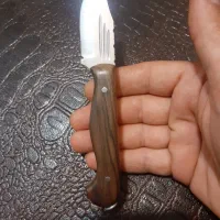 چاقوی کلکسیونی