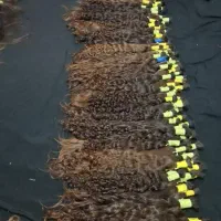 خریدارموی طبیعی بانوان عزیز،  خرید مو