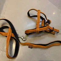 قلاده سگ‌|لوازم جانبی حیوانات|تهران, اقدسیه|دیوار