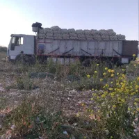 ایویکو یوروکارگو