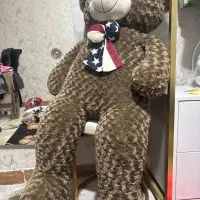 خرس بزرگ۱/۳۰