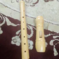 فوولوت