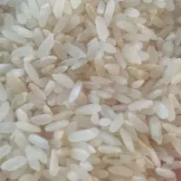 پیش فروش چلتوک