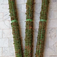 چوب خز