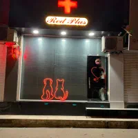 استخدام فروشنده خانم در پِت شاپ پالاس