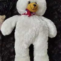 عروسک خرس شاسخین نو