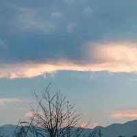 سیم کارت رند