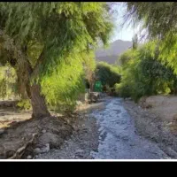 طبیعتگردی