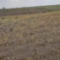 زمین به متراژ ۲۰۰۰ متر