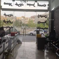 مغازه،شاخه اصلی