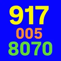0917-009-20-80