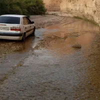 زانتیا|خودرو سواری و وانت|ایلام, |دیوار