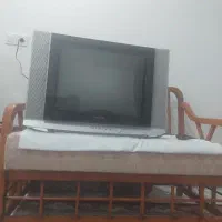 تلویزیون