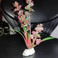 گل مصنوعی آکواریوم