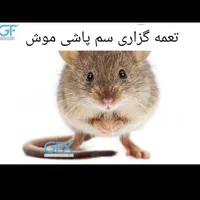 سمپاشی/موریانه زدایی کل اهواز/سم پاشی انواع حشرات|خدمات نظافت|اهواز, کیانپارس |دیوار