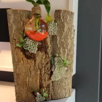 گلدون با گل طبیعی