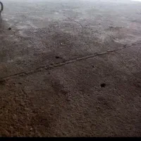 جویای کار هستم