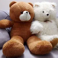 دوعدد عروسک ودوعددمیز اوپن