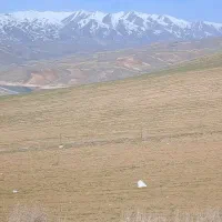 نیمور قلاور زمین ۱۲۵۰۰متر قواره۱۰۰۰متربه بالافروخت