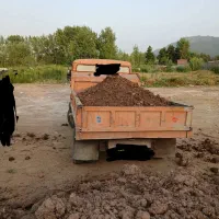گل،باغچه و شن ماسه