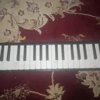 ملودیکا