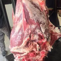 گوشت گوساله تازه ۱۰۲۰ خورده گوشت ۸۳۰