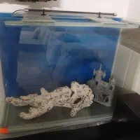 اکواریوم شیشه خم