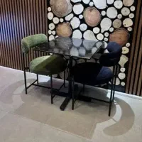میزو صندلی نهارخوری مدل  tedi بهار