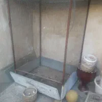 قفس