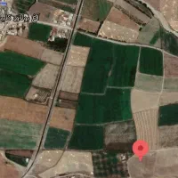 فروش زمین کشاورزی