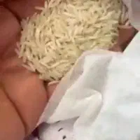 برنج ۱۱۲۱ برند دلباز