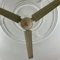 پنکه سقفی|پنکه و تصفیه‌کنندهٔ هوا|لاهیجان, شهرک جانبازان|دیوار