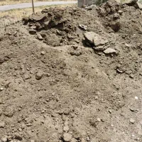 کود  گوسفندی درجه یک   یکسال خوابیده