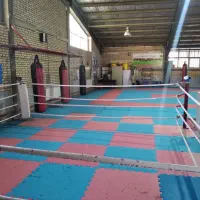 آموزش ورزش کیک‌بوکسینگ (WAKO)،  و موی تای