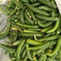 خیار برای خیاری شوری کسی خواست تماس بگیره