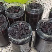 مربا جات وترشیجات با قیمت مناسب