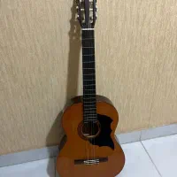 گیتار c40