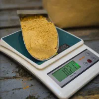 پودر زنجبیل چینی (جزئی و عمده)