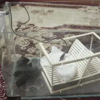 آکواریوم منحنی با تمام لوازم