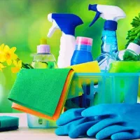 نیروی کار خانم برای انجام امور منزل