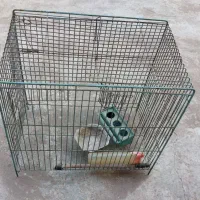 قفس پرنده