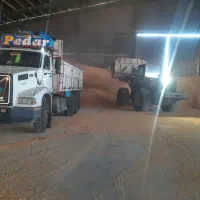 ان ال۱۲