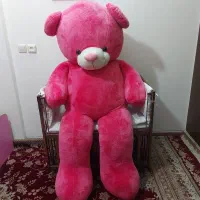 شاسخین