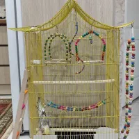 قفس پرنده