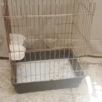 قفس