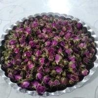 غنچه