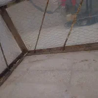 قفس بزرگ