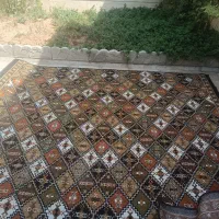 گلیم|گلیم، جاجیم، گبه|سقز, |دیوار