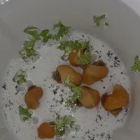 حلزون سیب